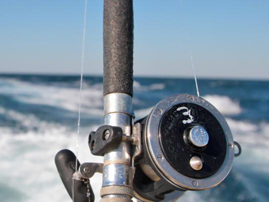 Orange Beach Charter Fishing