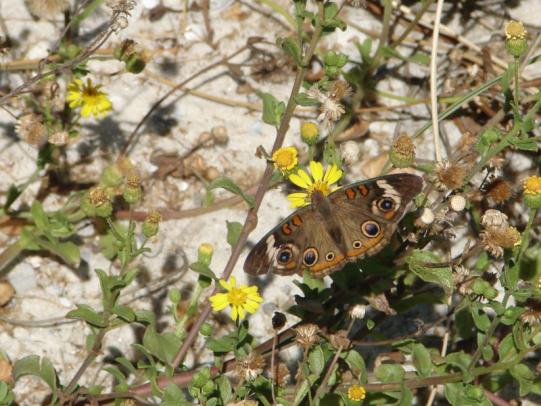 Graham Creek Nature Preserve