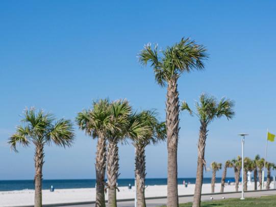 Gulf Shores Main Public Beach