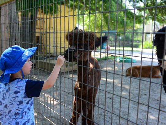 Alabama Gulf Coast Zoo 