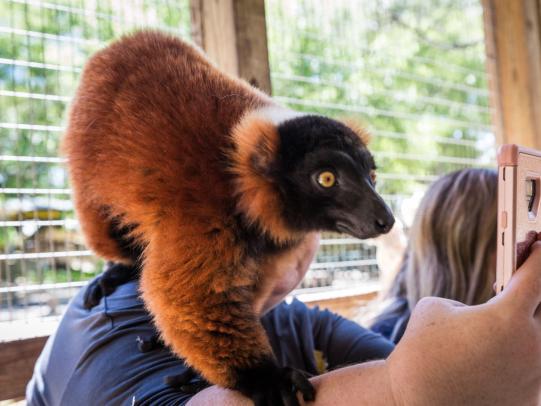 Alabama Gulf Coast Zoo Animal Encounters