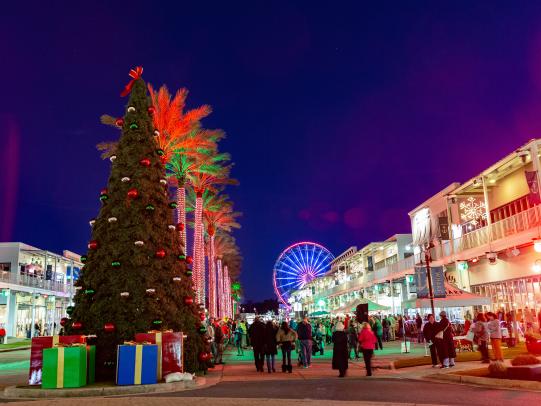 Christmas Tree Lighting