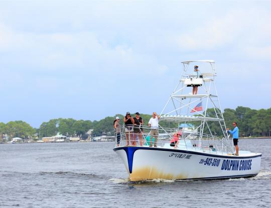 People on a dolphin cruise at the beach