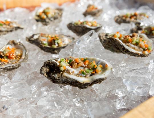 Oyster Trail Lunch