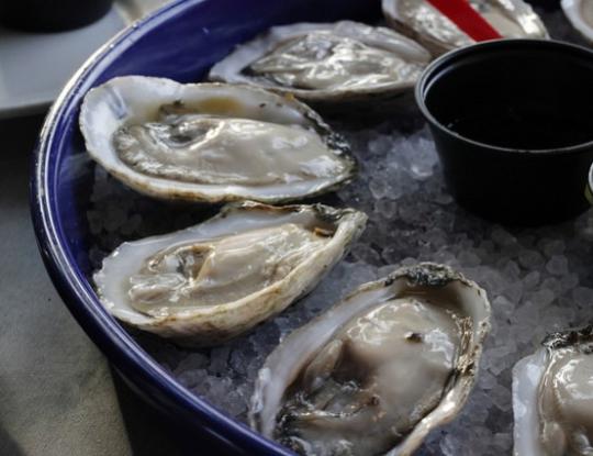 Raw Oysters Gulf Shores
