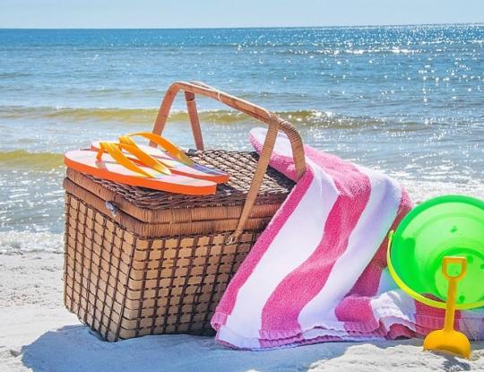 Picnic Basket lunch Orange Beach