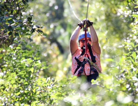 Hummingbird Zipline