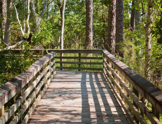 Weeks Bay National Reserve Fairhope, AL