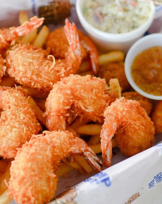 shrimp