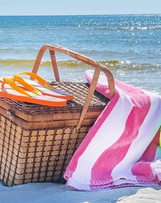 Picnic Basket lunch Orange Beach