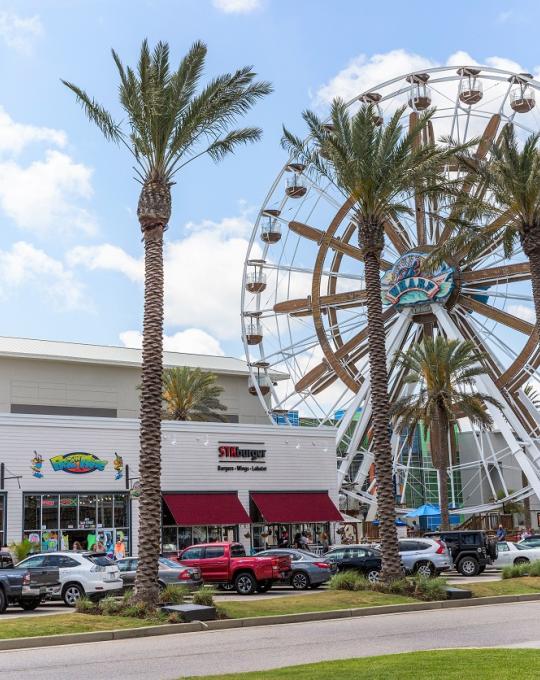 The Wharf Ferris Wheel