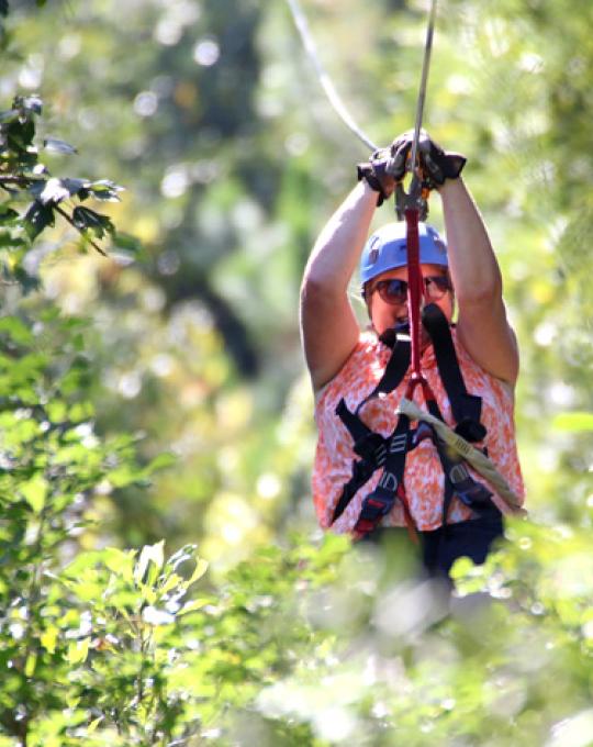 Hummingbird Zipline