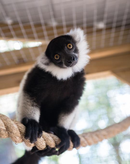 Alabama Gulf Coast Zoo