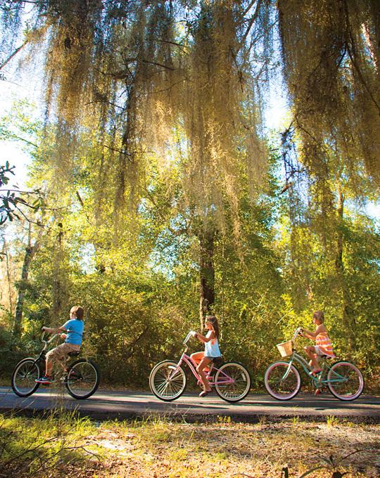 Bike the Hugh S. Branyon Backcountry Trail