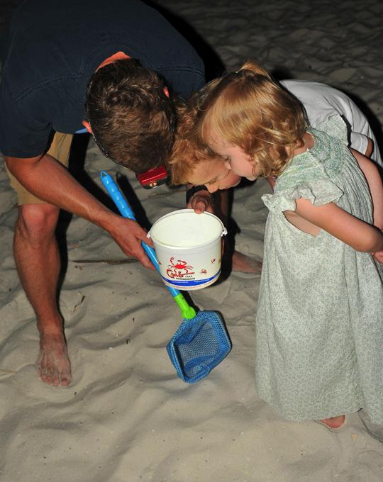 Sand Crab Hunt on Alabama's Beaches