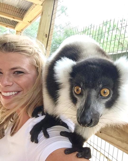 Lemur Experience at Alabama Gulf Coast Zoo