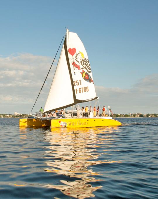 Sail Wild Heart Cruises