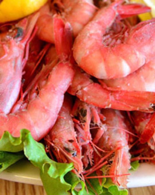 The Shrimp Trail Gulf Shores Orange Beach