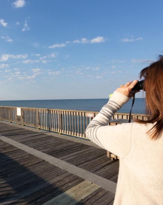 Gulf State Park Pier Gulf Shores AL
