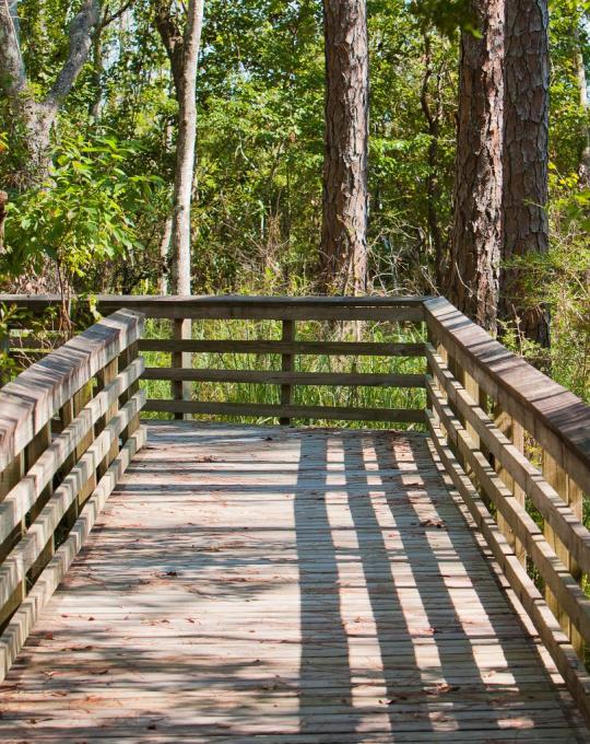 Weeks Bay National Reserve Fairhope, AL