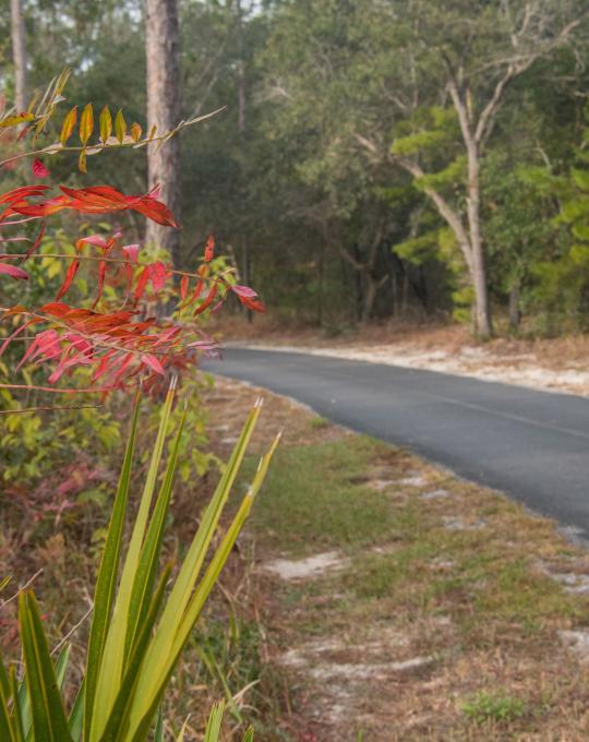 Hugh S. Branyon Backcountry Trail in Orange Beach AL