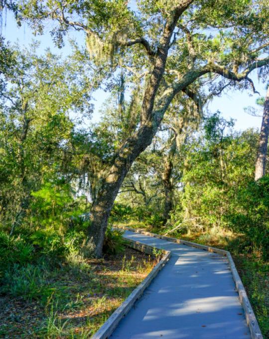 Trails Orange Beach AL