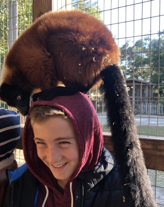 Lemur encounter at the Alabama Gulf Coast Zoo