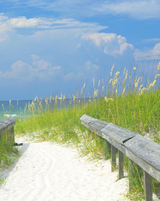 Save the date to Gulf Shores and Orange Beach