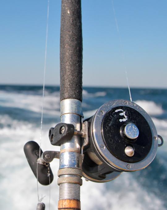 Orange Beach Charter Fishing