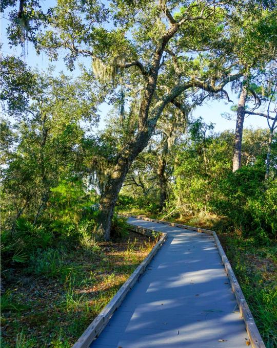 Bon Secour National Wildlife Refuge