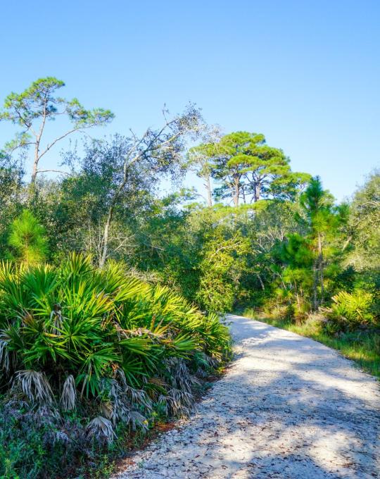 Bon Secour National Wildlife Refuge
