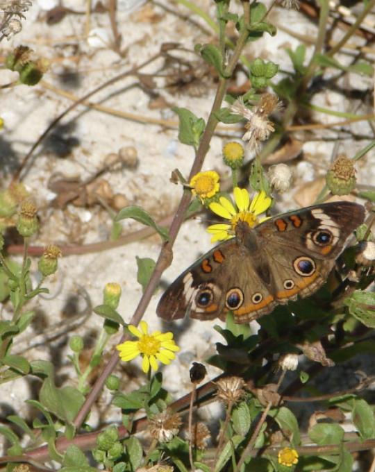 Graham Creek Nature Preserve