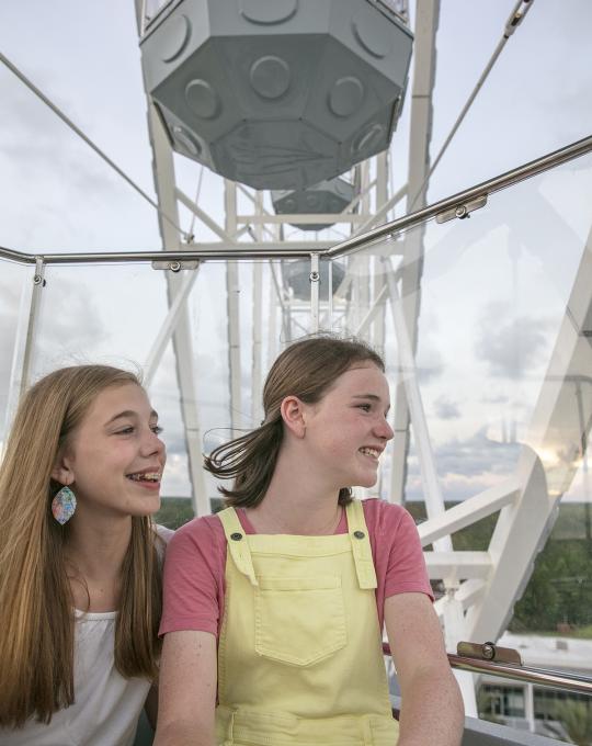 Ferris Wheel at The Wharf
