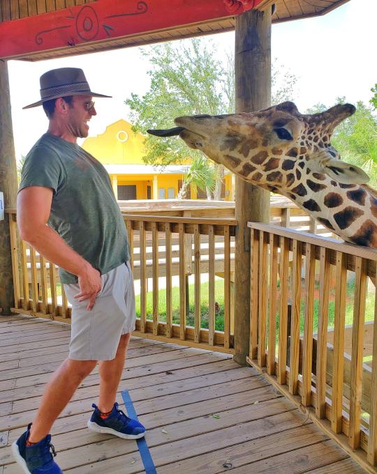 Man feeding giraffe at Alabama Gulf Coast Zoo in Gulf Shores, AL