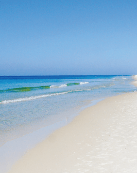 Planning is a breeze at the beach