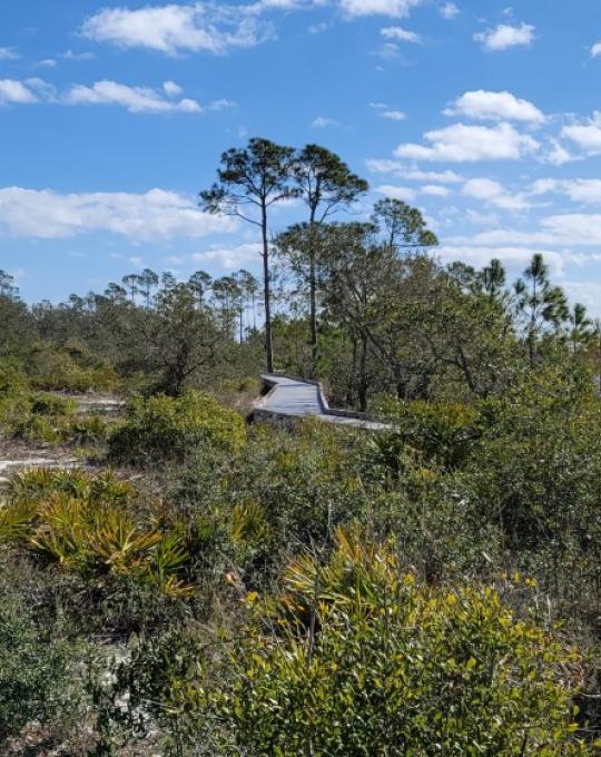 Bon Secour National Wildlife Refuge