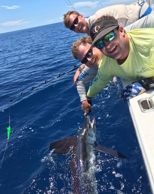 Sailfish Orange Beach