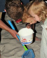 Dad and kids hunting crabs on Alabama's beaches