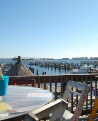 Pleasure Island Tiki Bar
