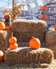 Fall in Orange Beach