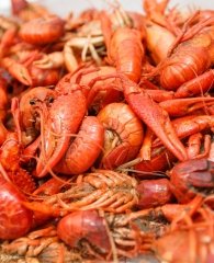 Fresh crawfish boil in Gulf Shores, Alabama