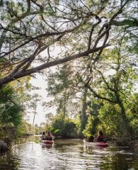 People kayaking along the calm backbays in Orange Beach