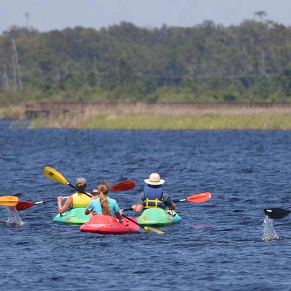 Group of Kayakers on Alabama Gulf Coast