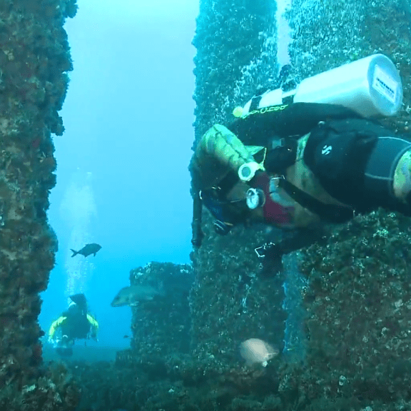 Scuba dive Gulf Shores