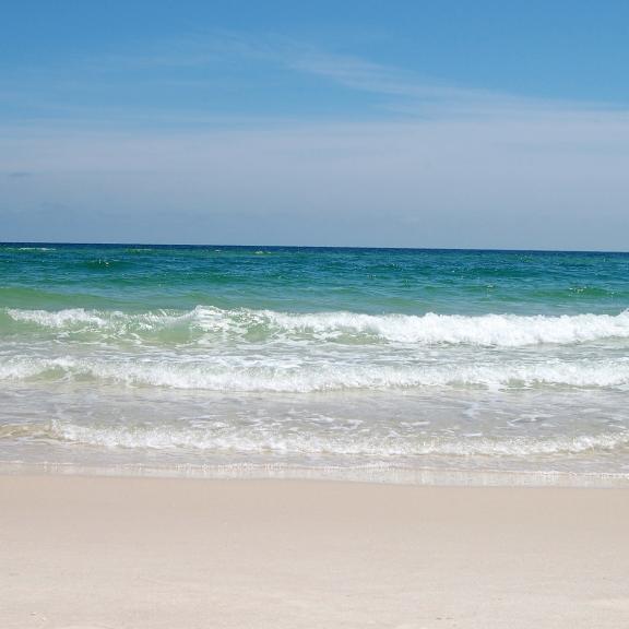 ENewsletter Sign up Gulf Shores