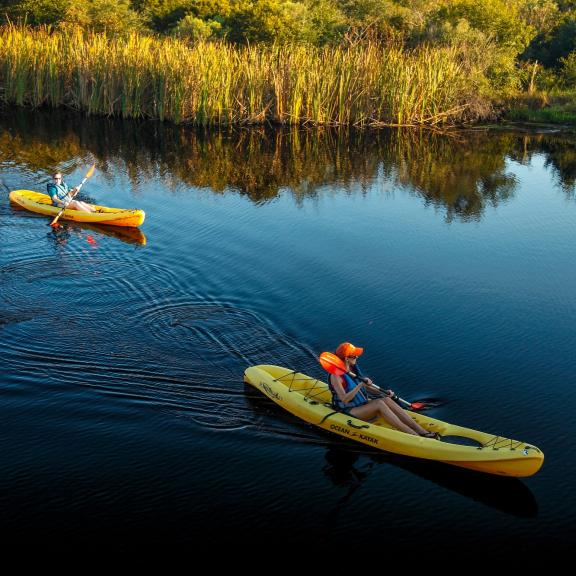 kayaking in the bayou Gulf Shores Al