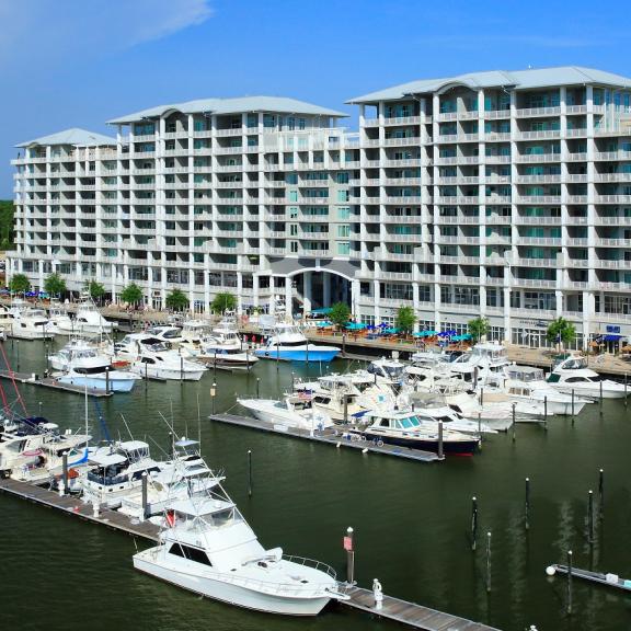 The Wharf Marina
