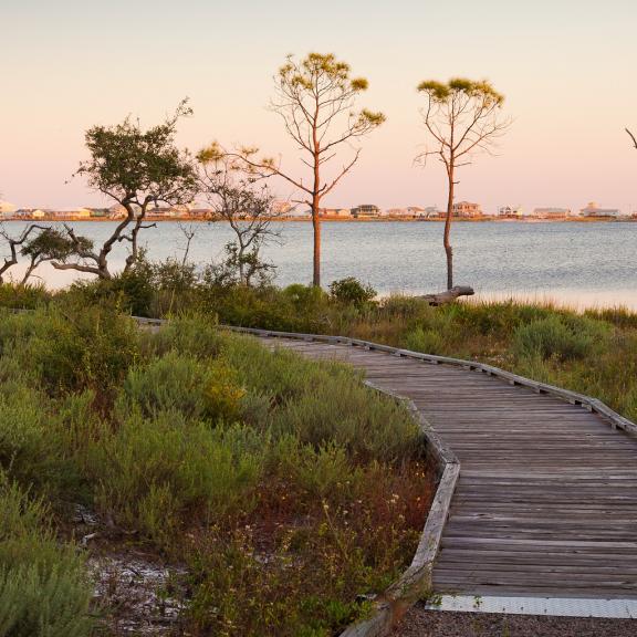 Gulf State Park Trail