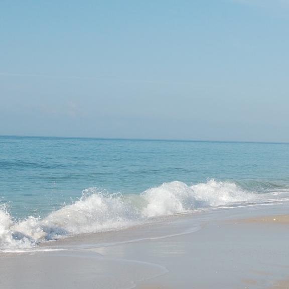 sweeping picture of the beach in Orange Beach Al