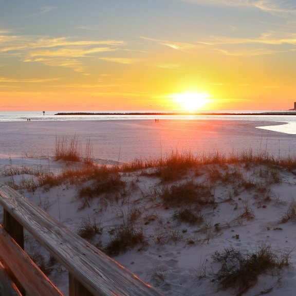 Visiting Media Assistance